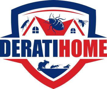 Deratihome – retour à l’accueil